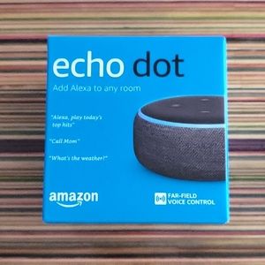 Echo Dot Voice Assistant